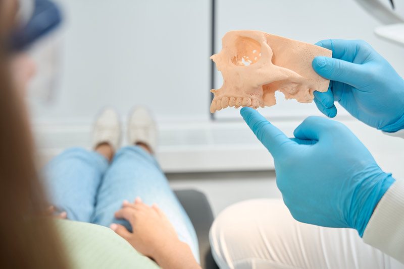 Dentist pointing at a jawbone model to a dental patient.